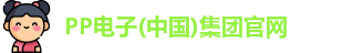 PP电子